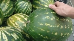 В СВЕТОФОР ! ИЩУ ВЫГОДНЫЕ ЦЕНЫ НА ПРОДУКТЫ Обзор магазина