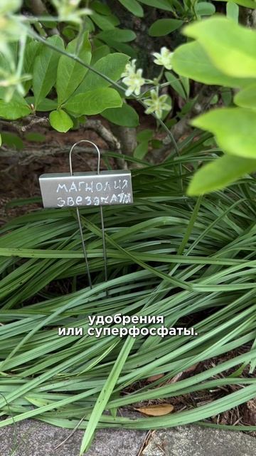 Металлические таблички NIKOMA
