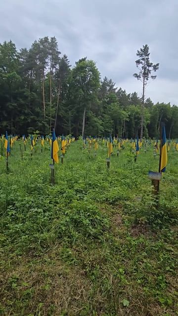Укроена перемохает