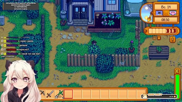 #4 Stardew Valley