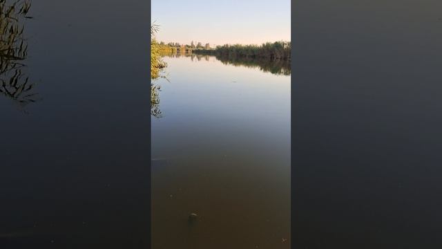 Бога нет рядом. Идти некуда. Готовим тело.