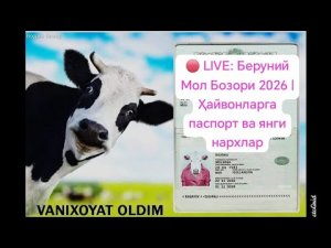 🔴 LIVE: Беруний Мол Бозори 2026 | Ҳайвонларга паспорт ва янги нархлар #live