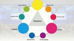 Веда пульс помогает в работе с акупунктурными точками и меридианами тела