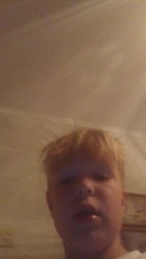 вдлв