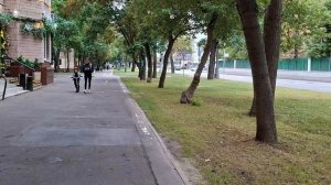Жизнь со стрижом