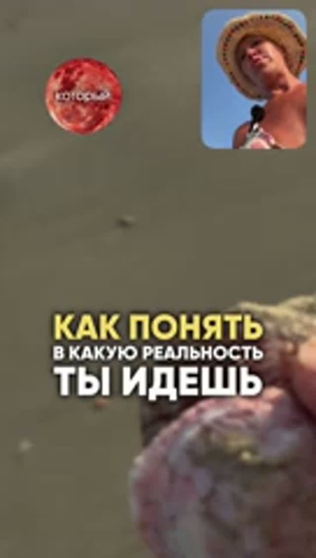 Запоминай Как Понять Какая Реальность Ждет Впереди