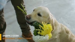 Эльбрус 2 сезон 1-4 серия: Куда исчезла девушка у водопада - разбор серий