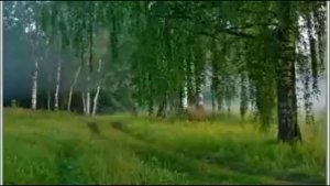 Михаил Гулько Березы
