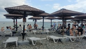 Атаки,бензина нет,зато на море/Сад в Новороссийске/Любимые сорта томатов