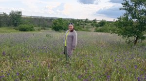Вступление в 🦺🧥СП «Год кардиганов» Сезон 3. 🦺🧥