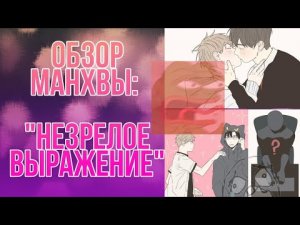Обзор Яой Манги (Манхвы) «Незрелое выражение» сёнен-ай гарем из парней