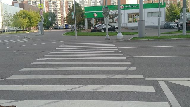 плюшка переходит дорогу