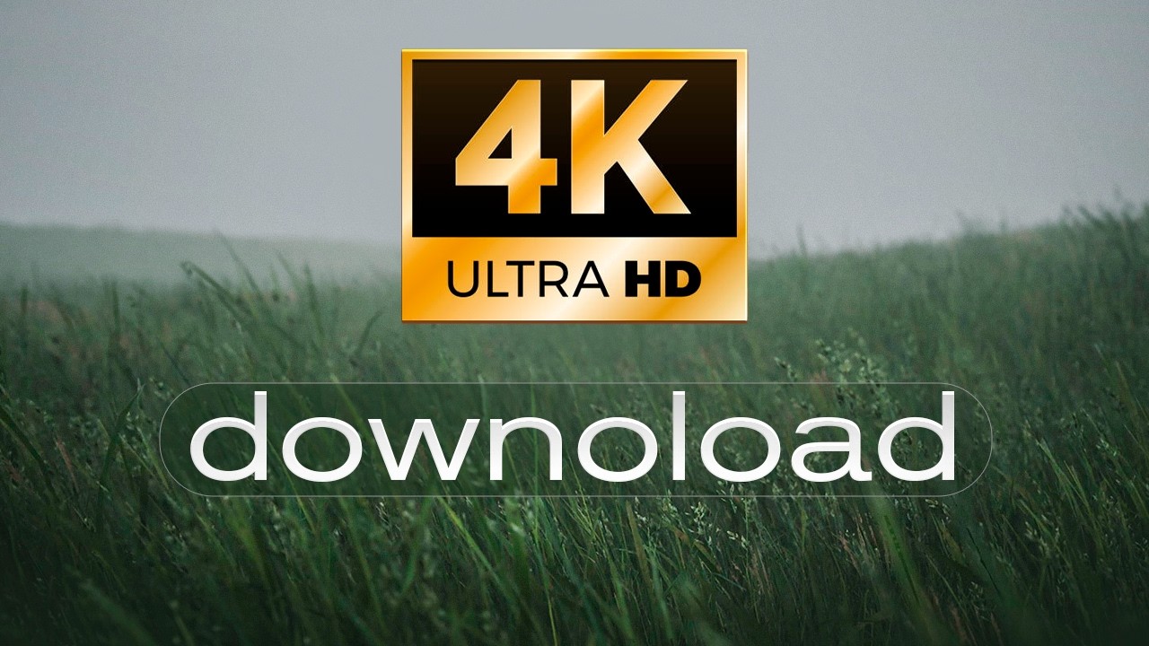 Live Wallpaper 4K Wavy Grass