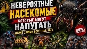 Невероятные насекомые, которые могут напугать даже самых бесстрашных