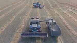 Уборочная кампания в Новосибирской области