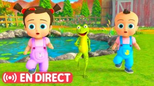 Meilleures Chansons pour Enfants et Bébé ☀️ Danse avec les animaux ! | HeyKids en Français