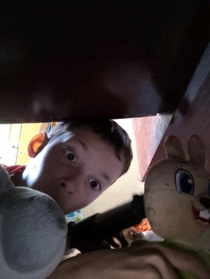 выживание