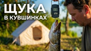 Вся щука в кувшинках/Тихое место/Природа, отдых и рыбалка с лодки