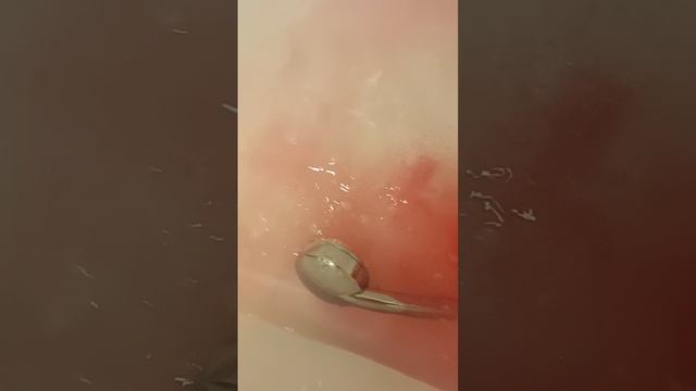 VID_20260813_151136