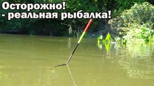 Рыбалка 12 августа на малой реке на поплавок как есть в реальности, дальние места