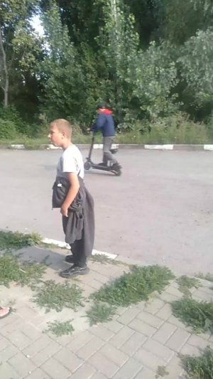 л