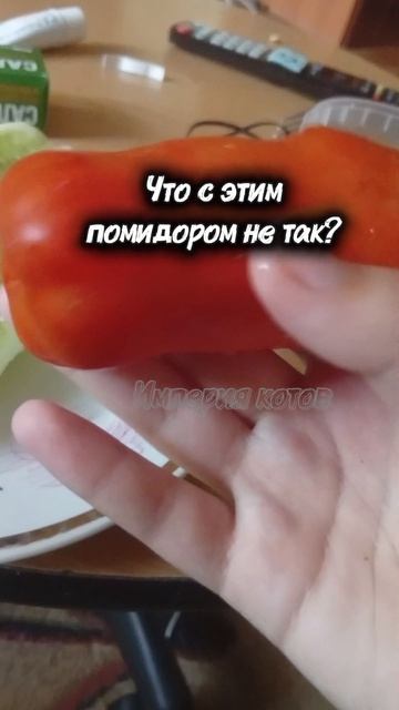 Это не помидор, это ху...