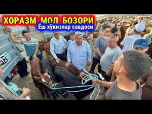 ХОРАЗМ МОЛ БОЗОРИ. ЁШ ХЎКИЗЛАР САВДОСИ 12-июля 2026 г.