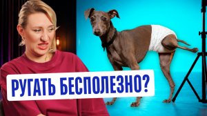 Собака ХОДИТ В ТУАЛЕТ ДОМА? Ветеринарный врач помогает решить проблему