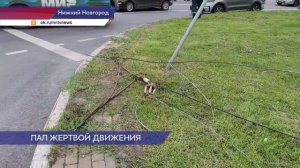 Фура повредила несколько секций светофора на площади Лядова в Нижнем Новгороде