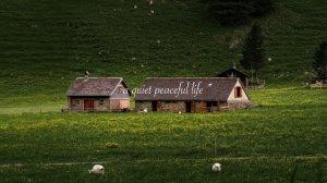 Beautiful Things - A playlist for a quiet peaceful life