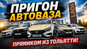 Доставка автомобилей ВАЗ в ЛДНР из Тольятти! Помощь в покупке! СнежАвто/СТАВР!