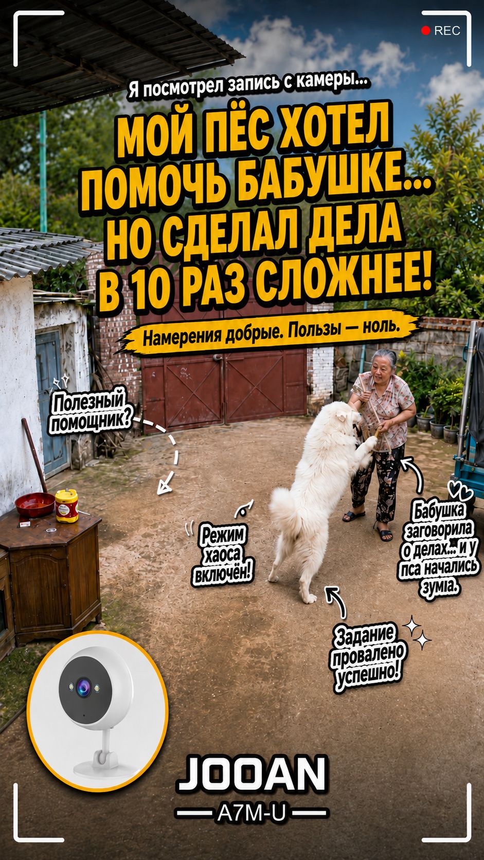 Его сердце говорит: «Помоги бабушке», а лапы — «Сделай всё ещё сложнее». 😂