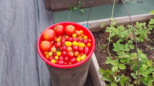 Какая то зараза укусила меня.
