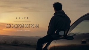 Звери - До скорой встречи. RIFTBEATS Cover. Remix