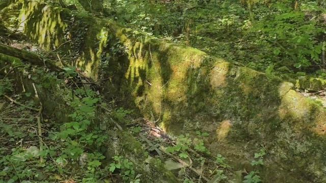 Мягкая щель, село Возрождение, Геленджик.