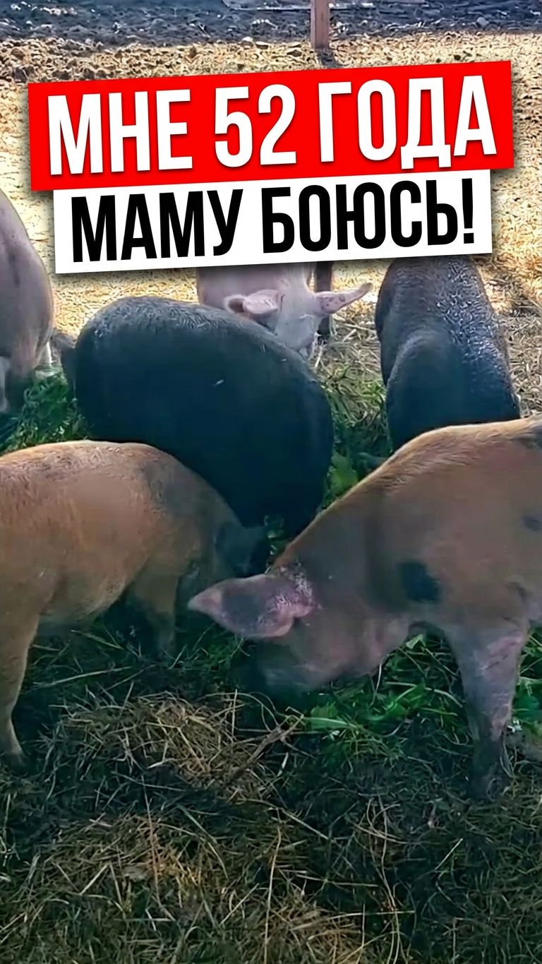 МНЕ 52, А Я МАМУ БОЮСЬ! 😂 Посмотрите до конца
