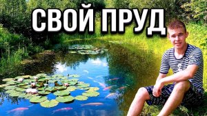 Как сделать красивый пруд с рыбками на даче? История моего дачного прудика!
