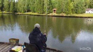 Карп борется до последнего