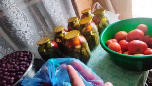 ЖИВЁМ КАК УМЕЕМ, ВСЯКО БЫВАЕТ!.. ПРОБУЕМ РЫБНЫЕ ПОЛОСКИ
