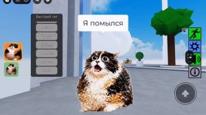 Roblox игра в Роблокс Найди котость
