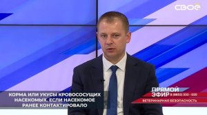 На Ставрополье заражение африканской чумой свиней может произойти через инфицированные корма