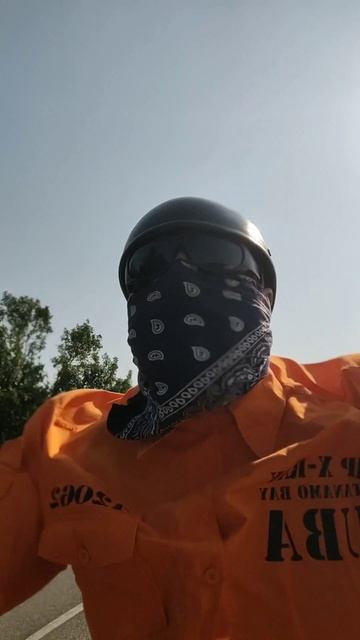 ария