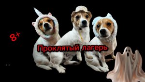 Проклятый Джек Рассел терьерский лагерь 1 серия 8+