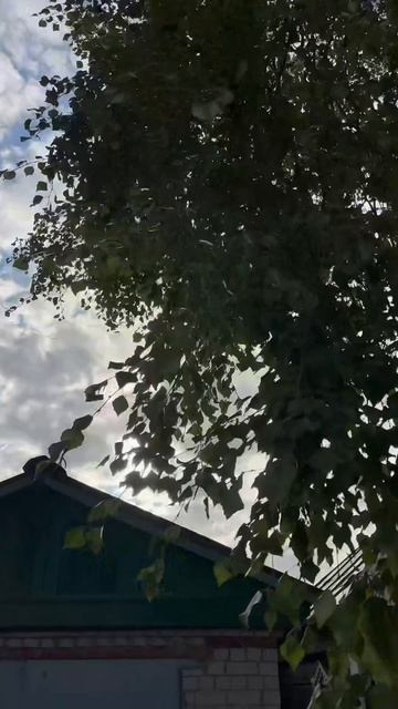 Берегите себя и тех кто рядом ❤️