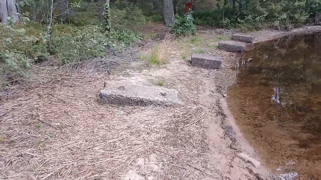 ЗМЕИНАЯ КОЖА😳 ИГРАЕМ В ФУТБОЛ