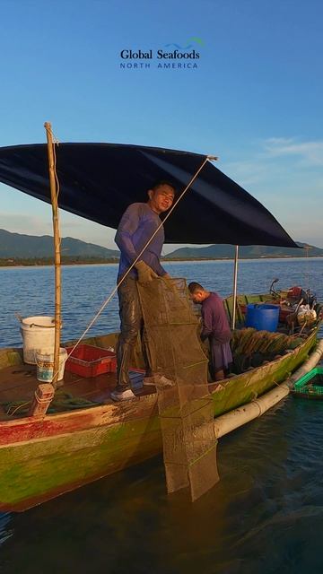 Тяжёлая работа в море 🇻🇳 — вьетнамские рыбаки проверяют ловушки | DJI Avata