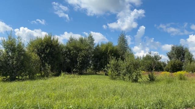 50:32:0080219:1416
