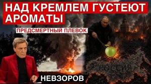 Яблоко. Протест. Кремль не так уж глуп. Инстасамка всех кинула. Плевок в лицо хороших русских. Трамп