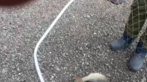 1000161644.mp4