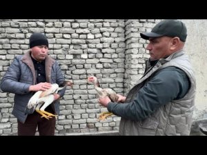 ДАКАН ИШКИБОЗЛАРИ УЧУН КУКОН ДАНГАРА ЭСКИ ПАРВОЗ МУХСИНЖОН  АКА ДАКАНЛАРИ ТОЗЗА КАРЕЯ ЗОТЛАР